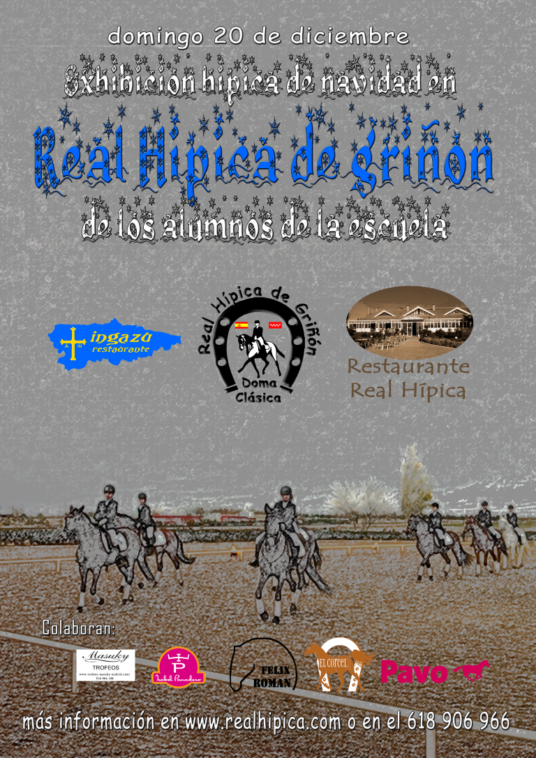 Exhibiciones de Navidad 2015