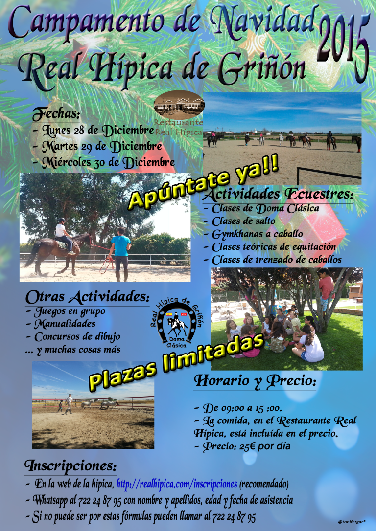 Campamento de navidad