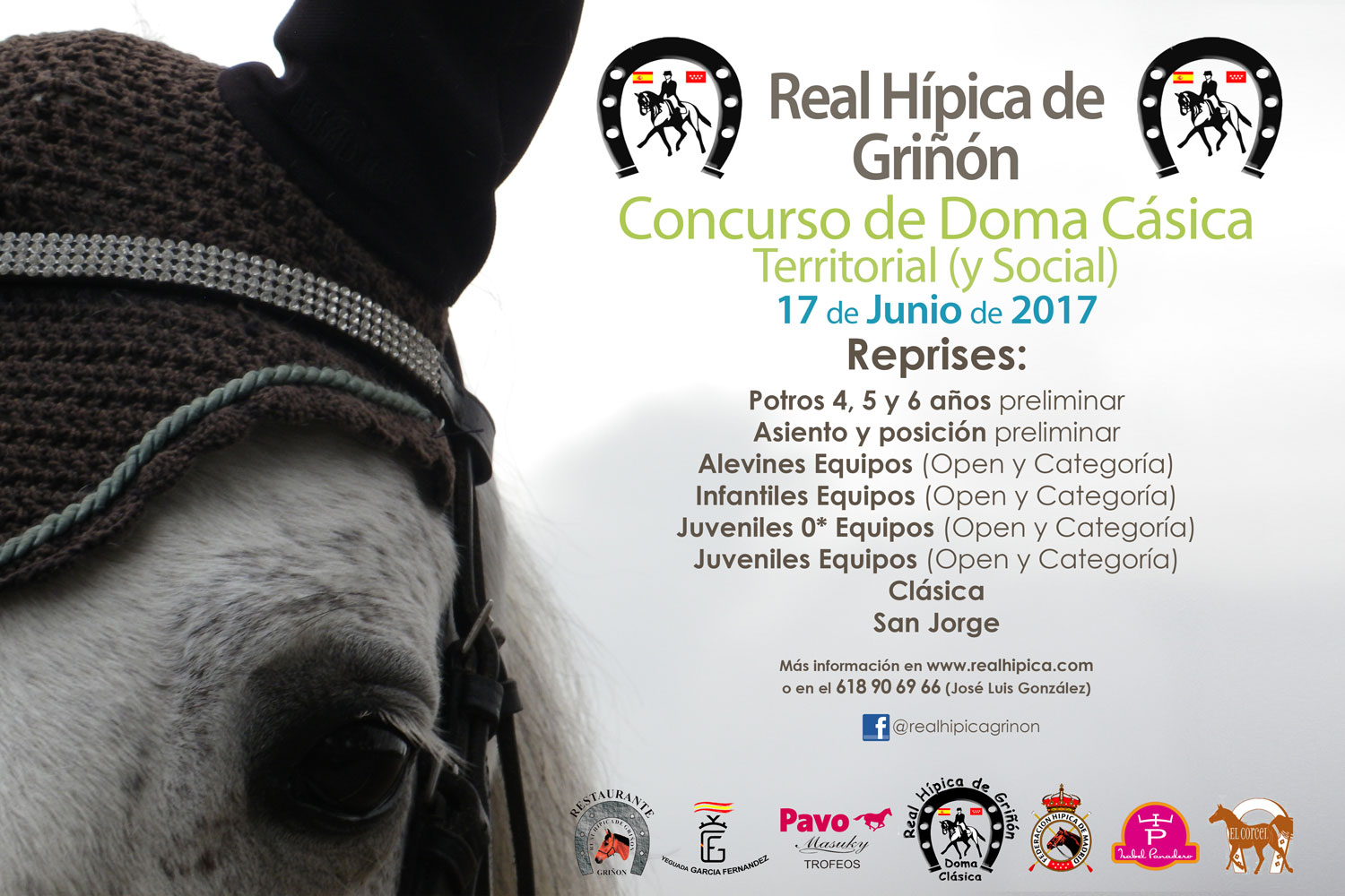 Concurso Territorial Y Social De Doma Clásica El 17 De Junio De 2017 Real Hípica De Griñón 3801