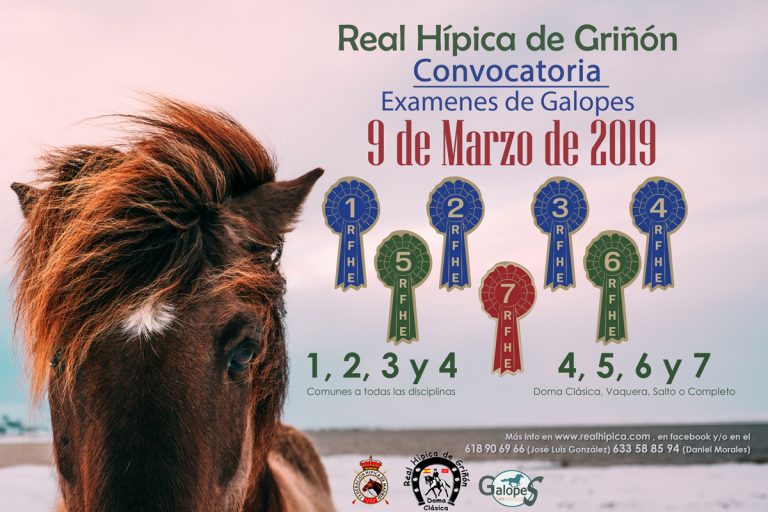 Exámenes de galopes el 9 de marzo de 2019