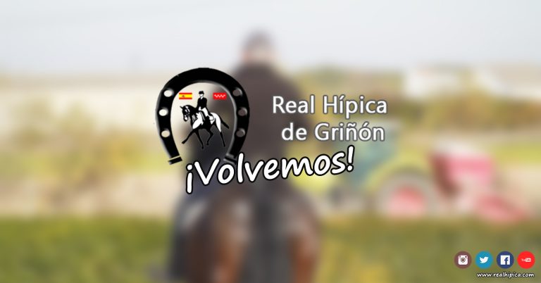 Volvemos