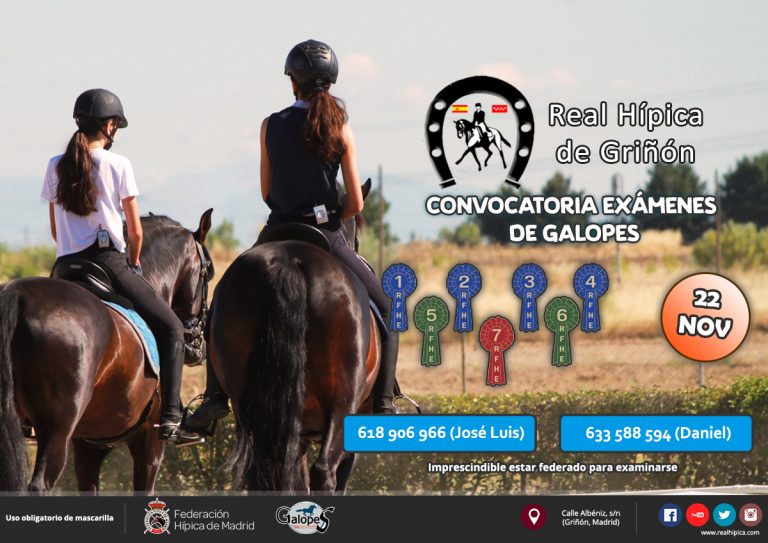 Convocatoria exámenes de galopes (noviembre 2020)