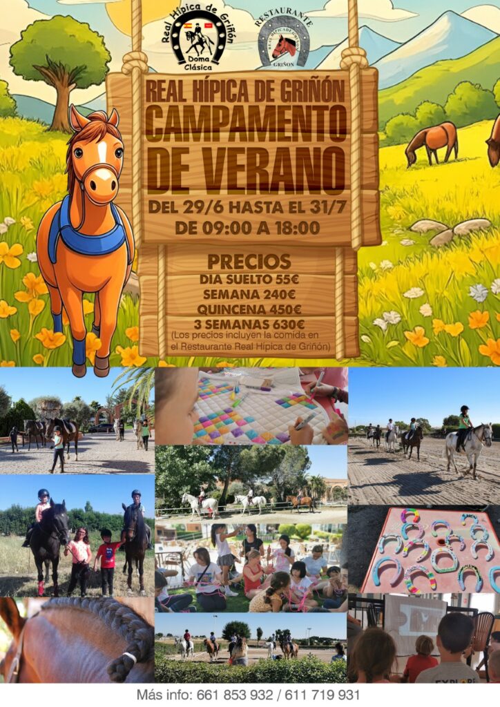 Campamento de verano 2026